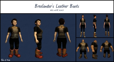 Breelander's Leather Boots