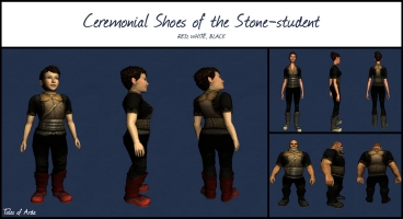 Ceremonial Shoes of the Stone-student