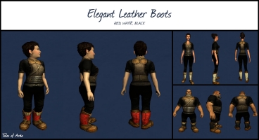 Elegant Leather Boots
