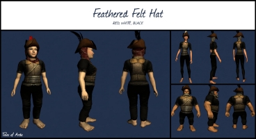 Feathered Felt Hat