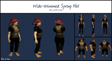 Wide-Brimmed Spring Hat
