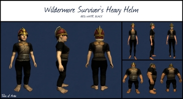 Wildermore Survivor's Heavy Helm