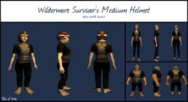 Wildermore Survivor's Medium Helmet
